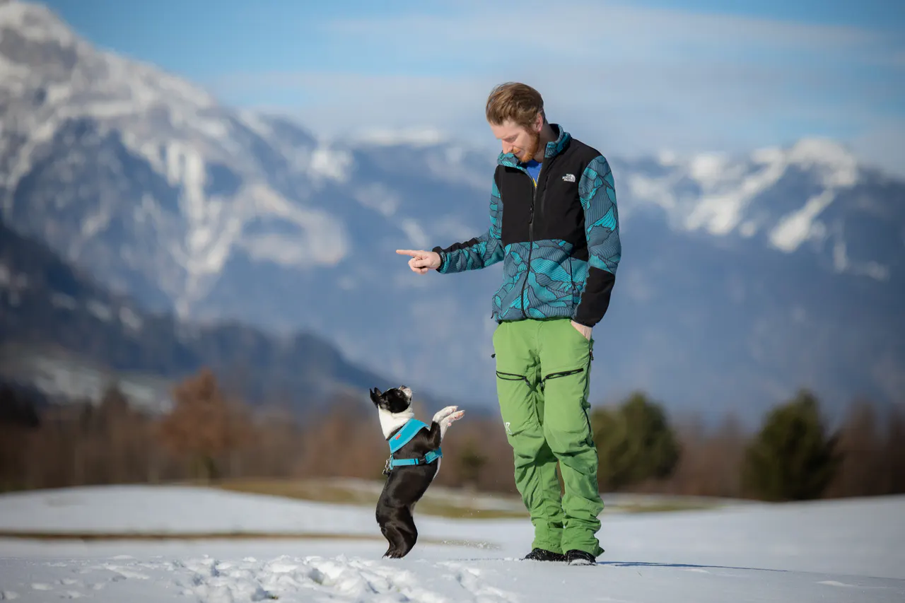 Hundetraining im Schnee vor den Bergen
