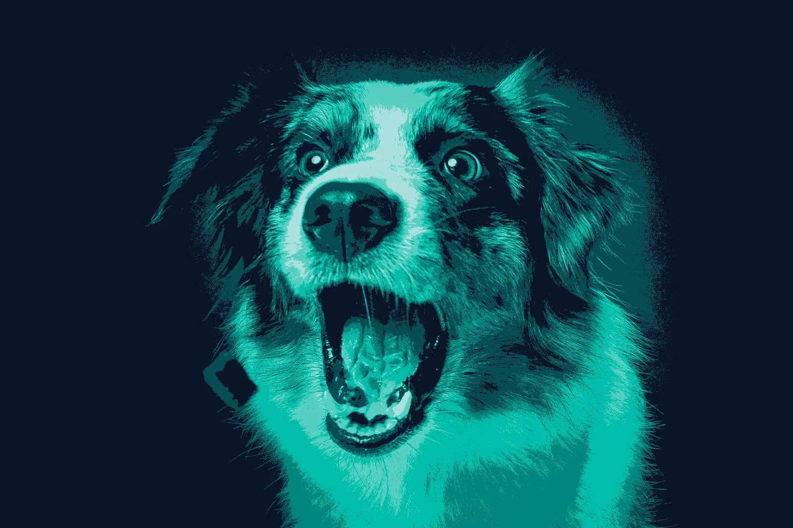 Derselbe Hund als Siebdruck in Türkis